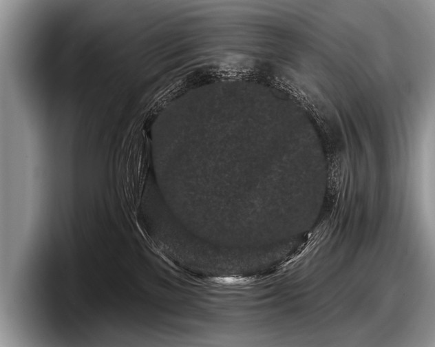 X0000097890137200803211403