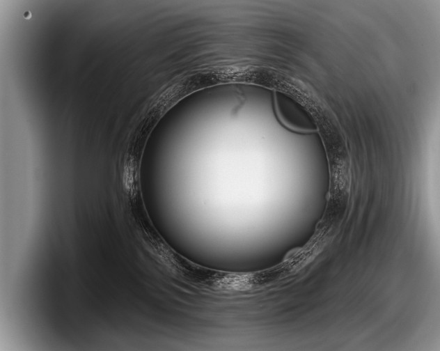 X0000097890138200803211403