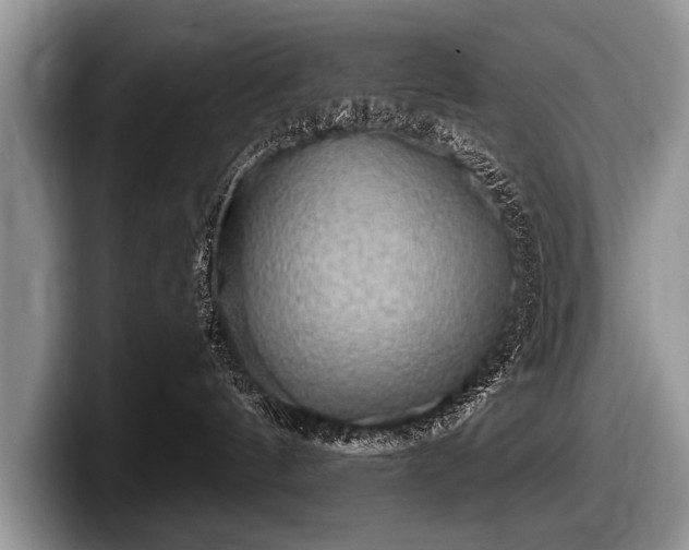 X0000097890144200803211403