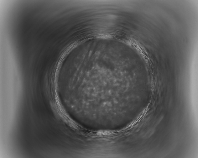 X0000097890145200803211402