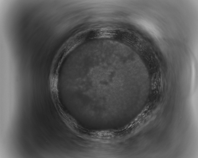 X0000097890146200803211402