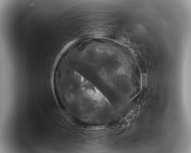 X0000097890147200803211402