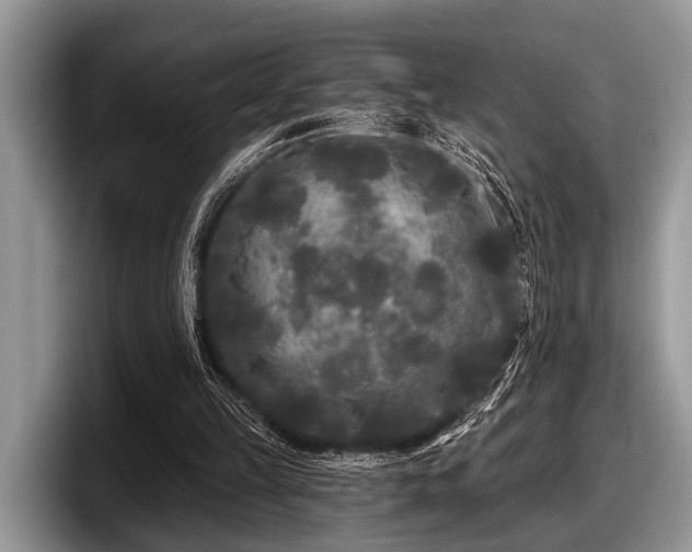 X0000097890149200803211402