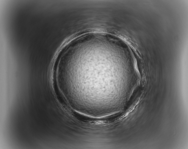 X0000097890151200803211402