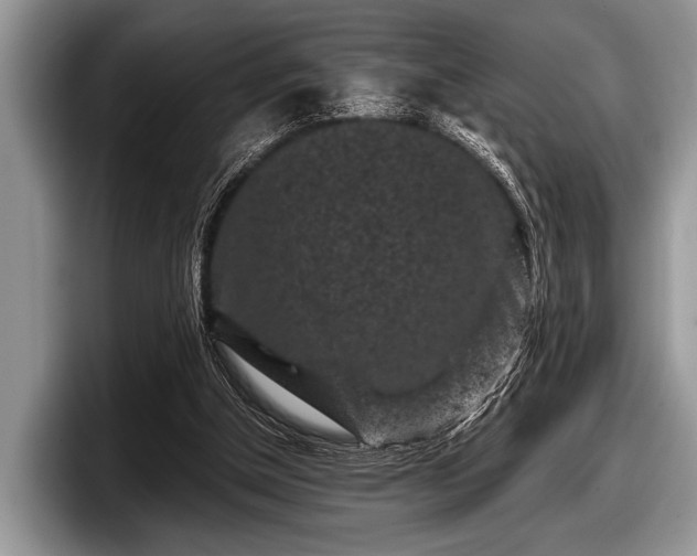 X0000097890154200803211402