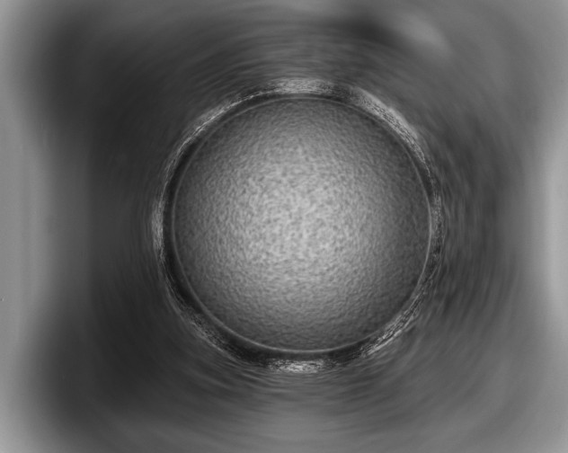 X0000097890155200803211402