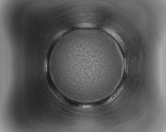 X0000097890157200803211402