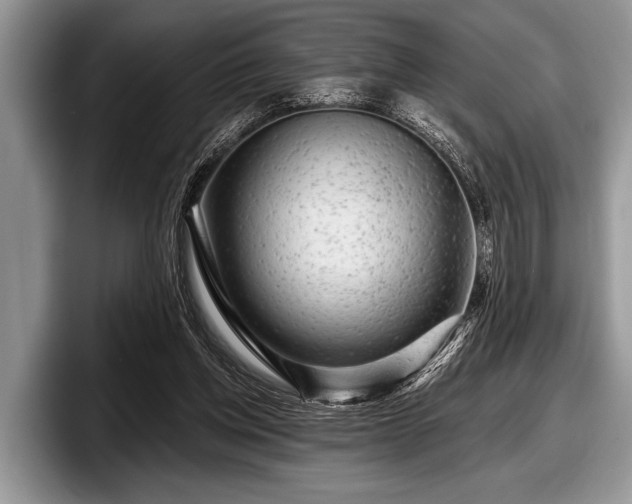 X0000097890158200803211402