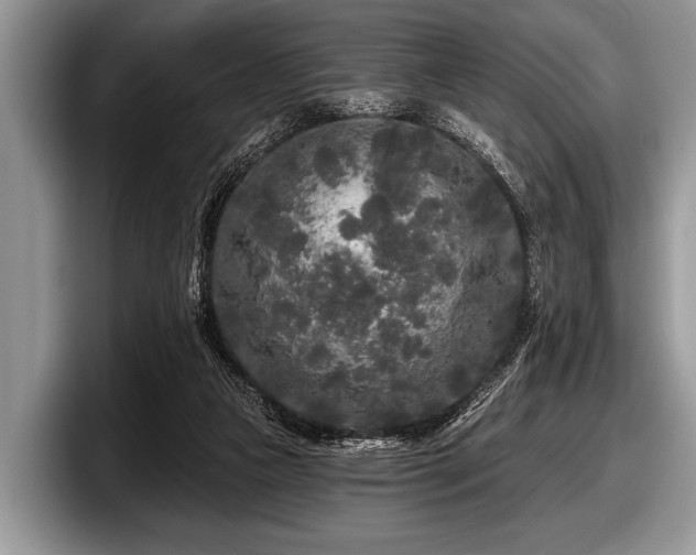 X0000097890161200803211402