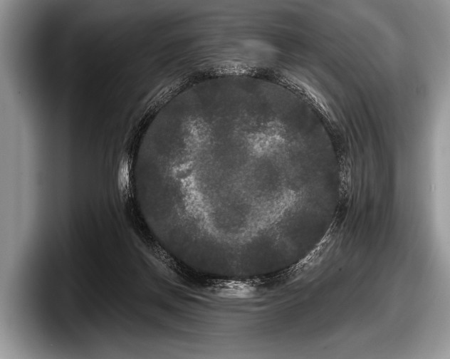 X0000097890166200803211402