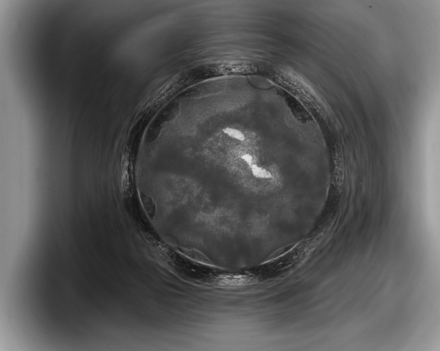 X0000097890169200803211402