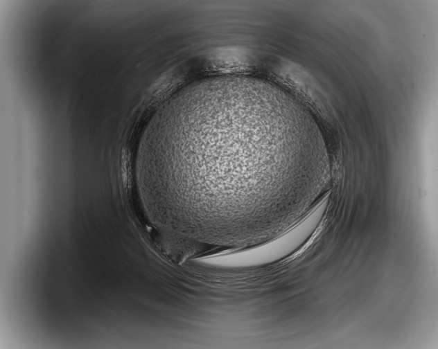 X0000097890170200803211403