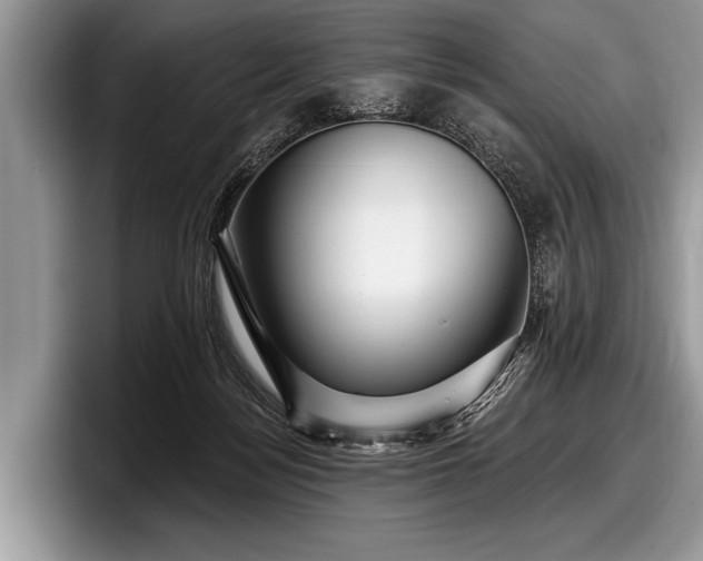 X0000097890172200803211403