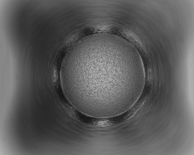 X0000097890173200803211403