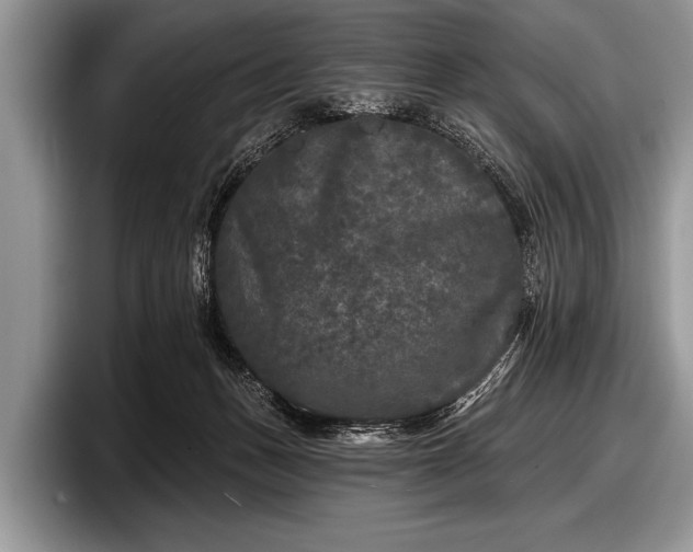 X0000097890175200803211403