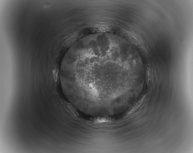 X0000097890177200803211403