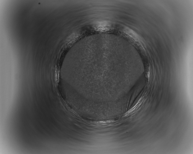 X0000097890180200803211403