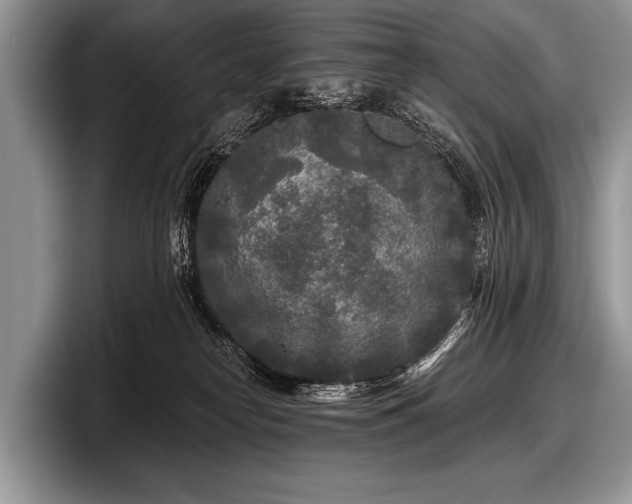 X0000097890182200803211403