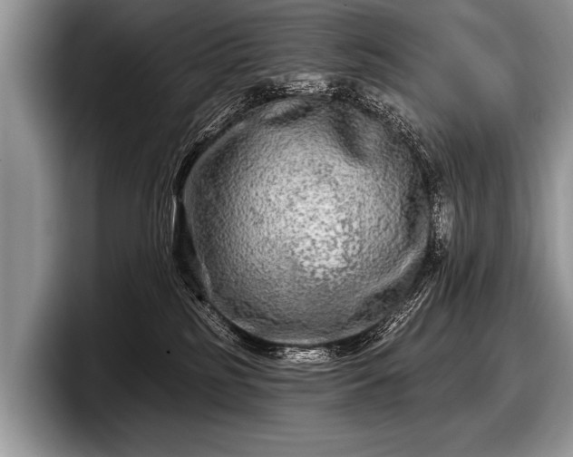 X0000097890185200803211403