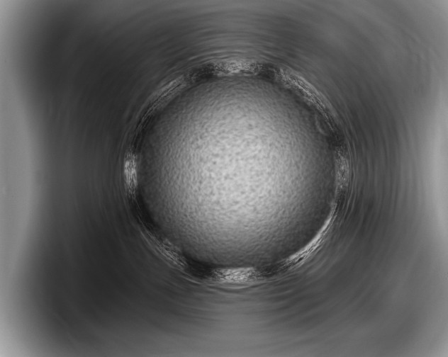 X0000097890191200803211403