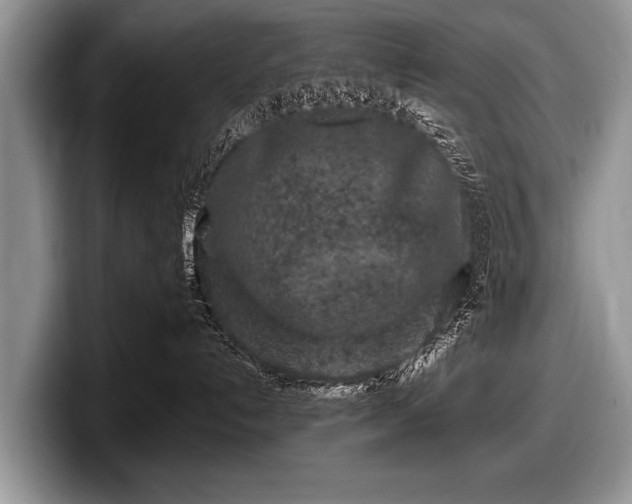 X0000097890192200803211403