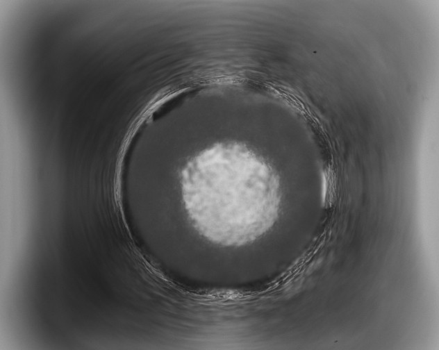 X0000097890195200803211402