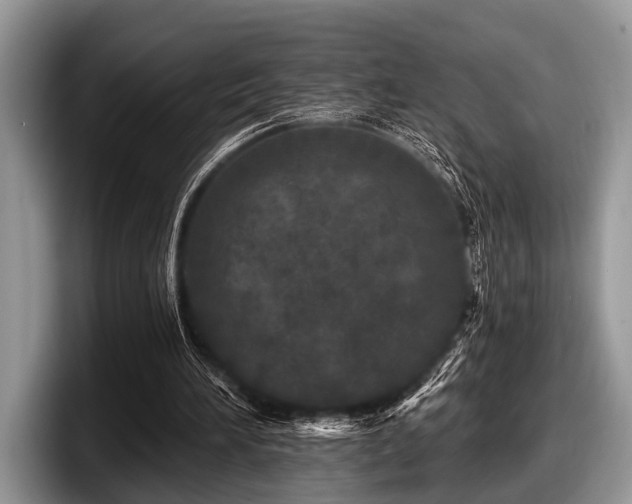 X0000097890196200803211402