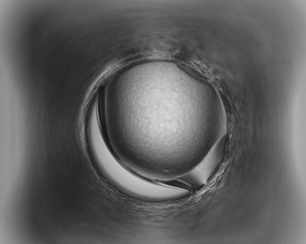 X0000097890197200803211402