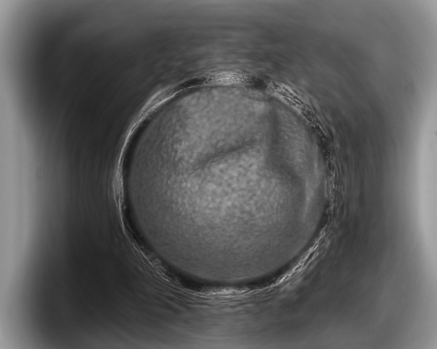 X0000097890198200803211402