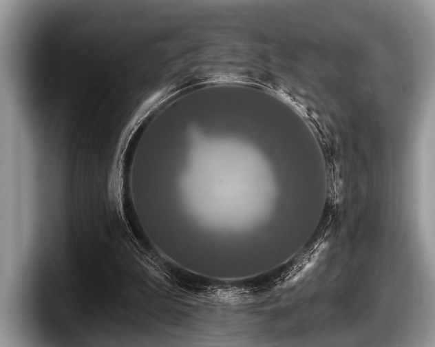 X0000097890199200803211402