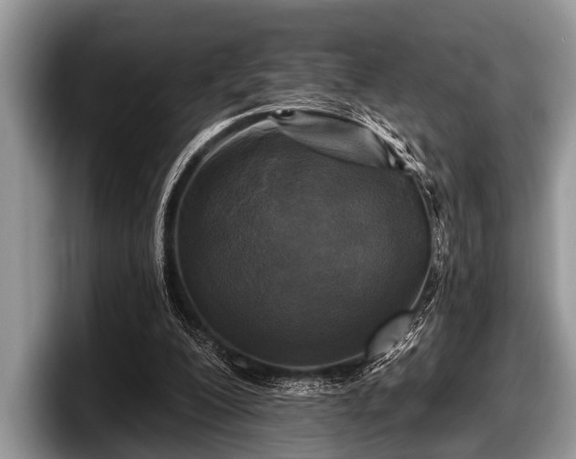 X0000097890200200803211402