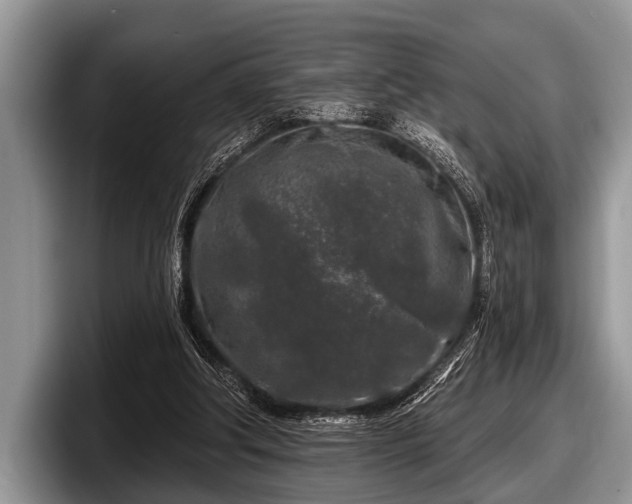 X0000097890202200803211402