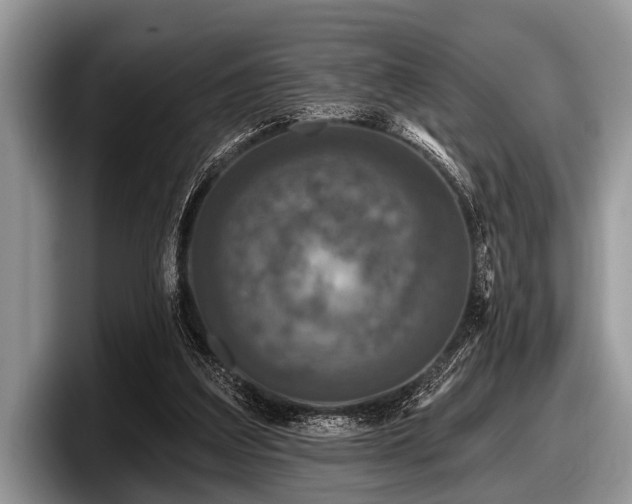 X0000097890203200803211402