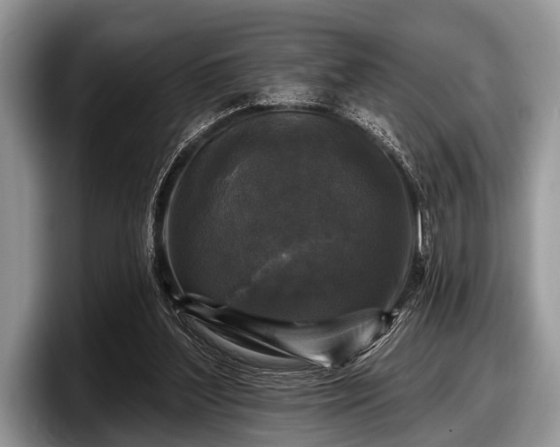 X0000097890204200803211402