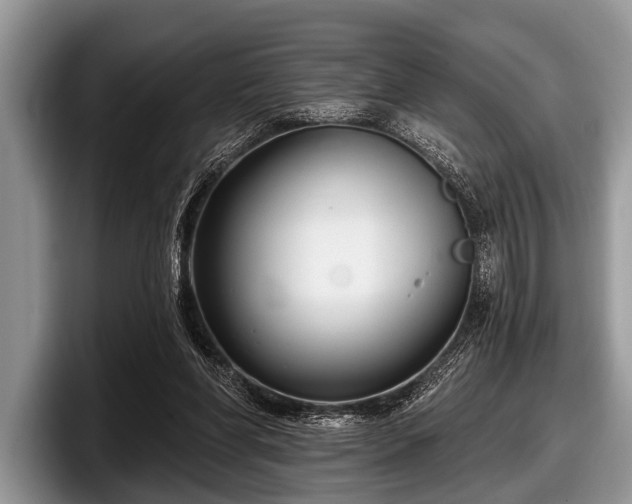 X0000097890206200803211402