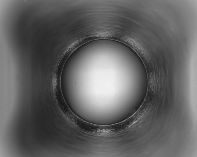 X0000097890208200803211402