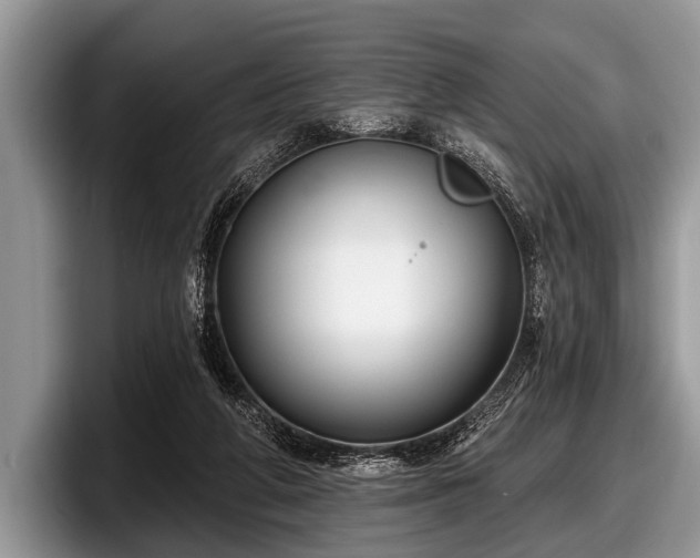 X0000097890210200803211402