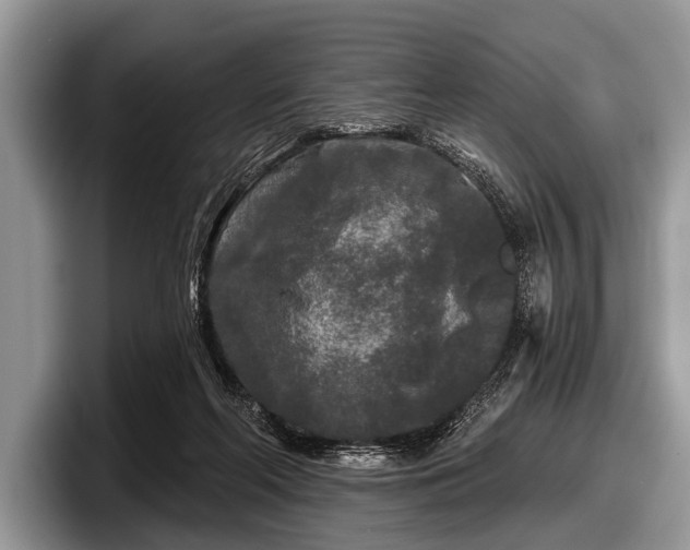 X0000097890214200803211402