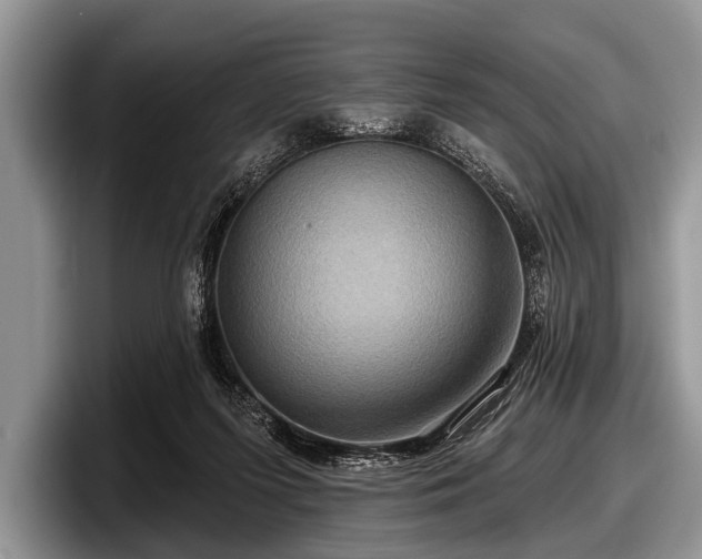 X0000097890215200803211402