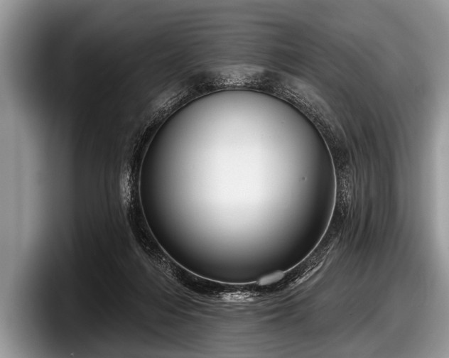 X0000097890216200803211402