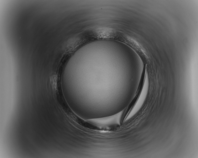 X0000097890217200803211402