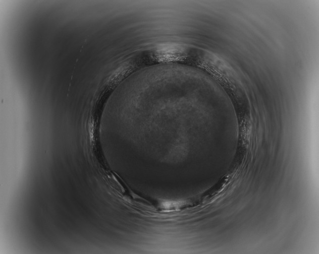 X0000097890219200803211402