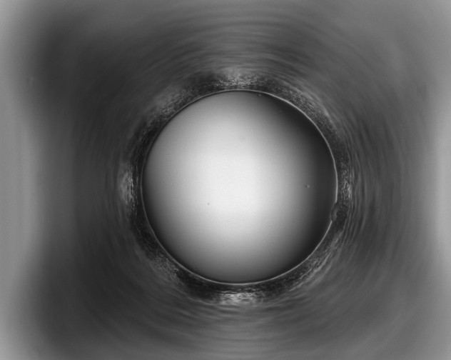 X0000097890220200803211402