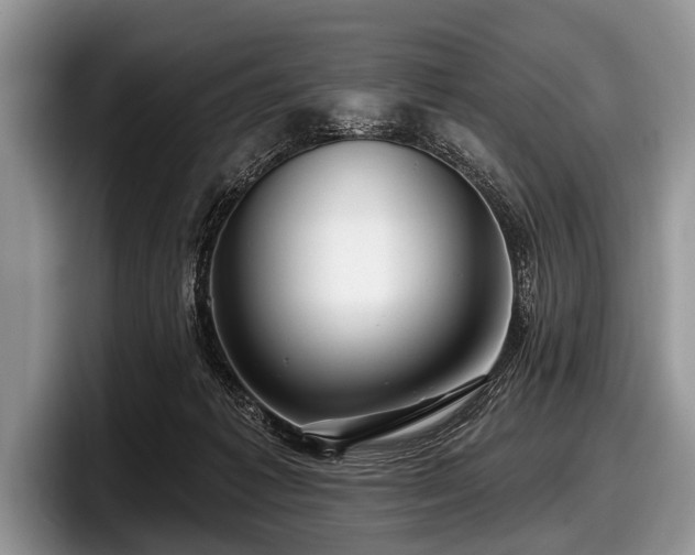 X0000097890221200803211402