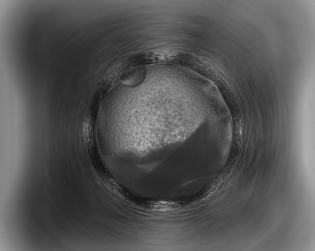 X0000097890222200803211402