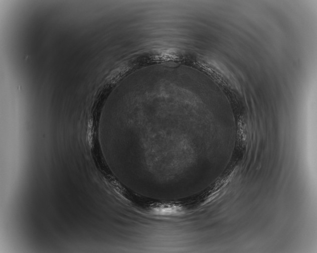 X0000097890223200803211402