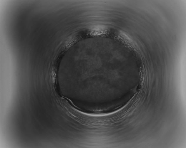 X0000097890227200803211402