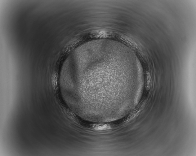 X0000097890230200803211402