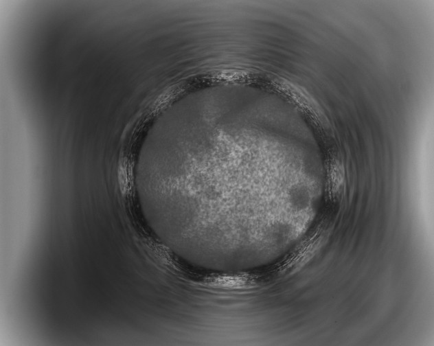 X0000097890236200803211402