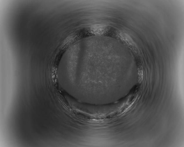 X0000097890237200803211402